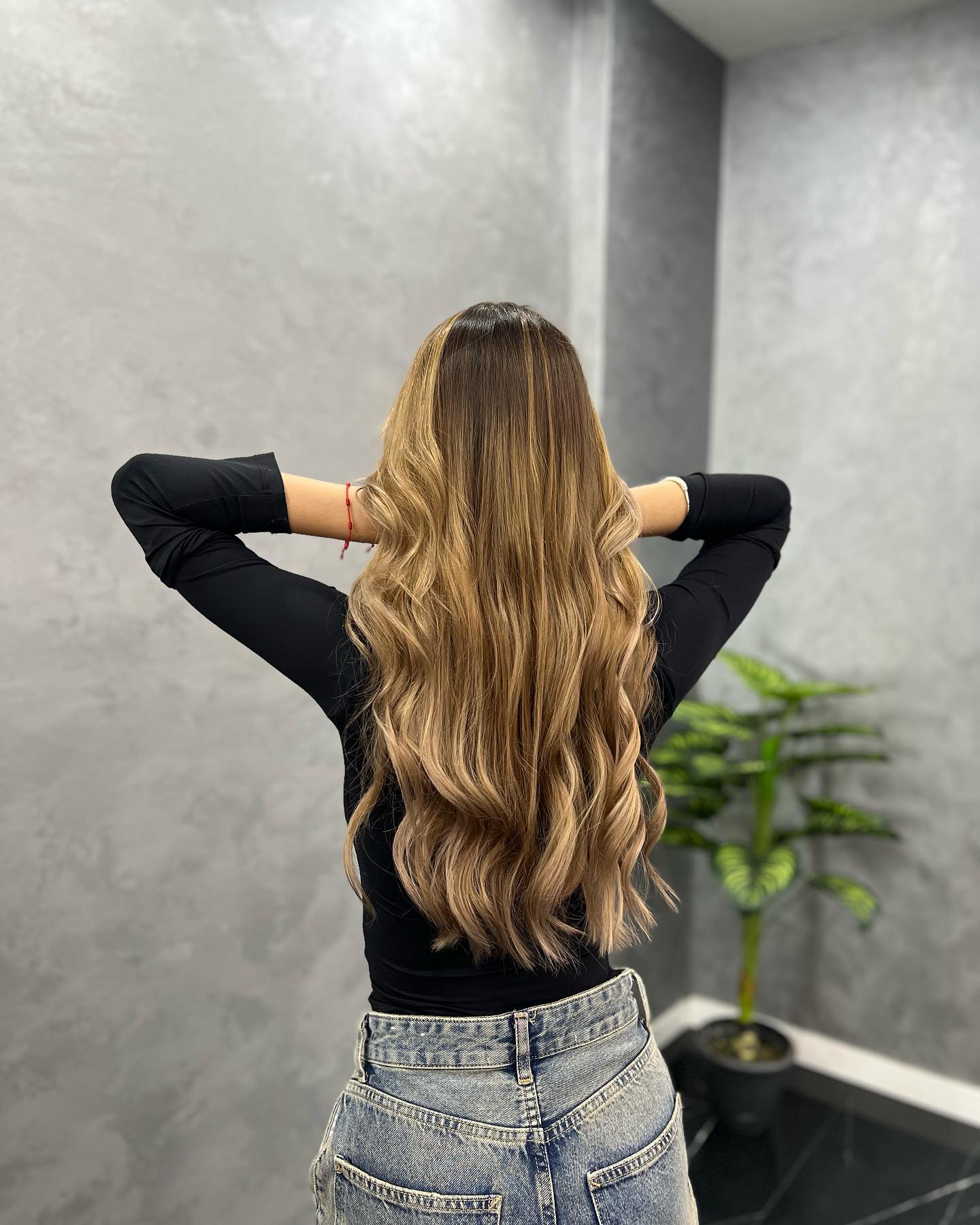 Corte
