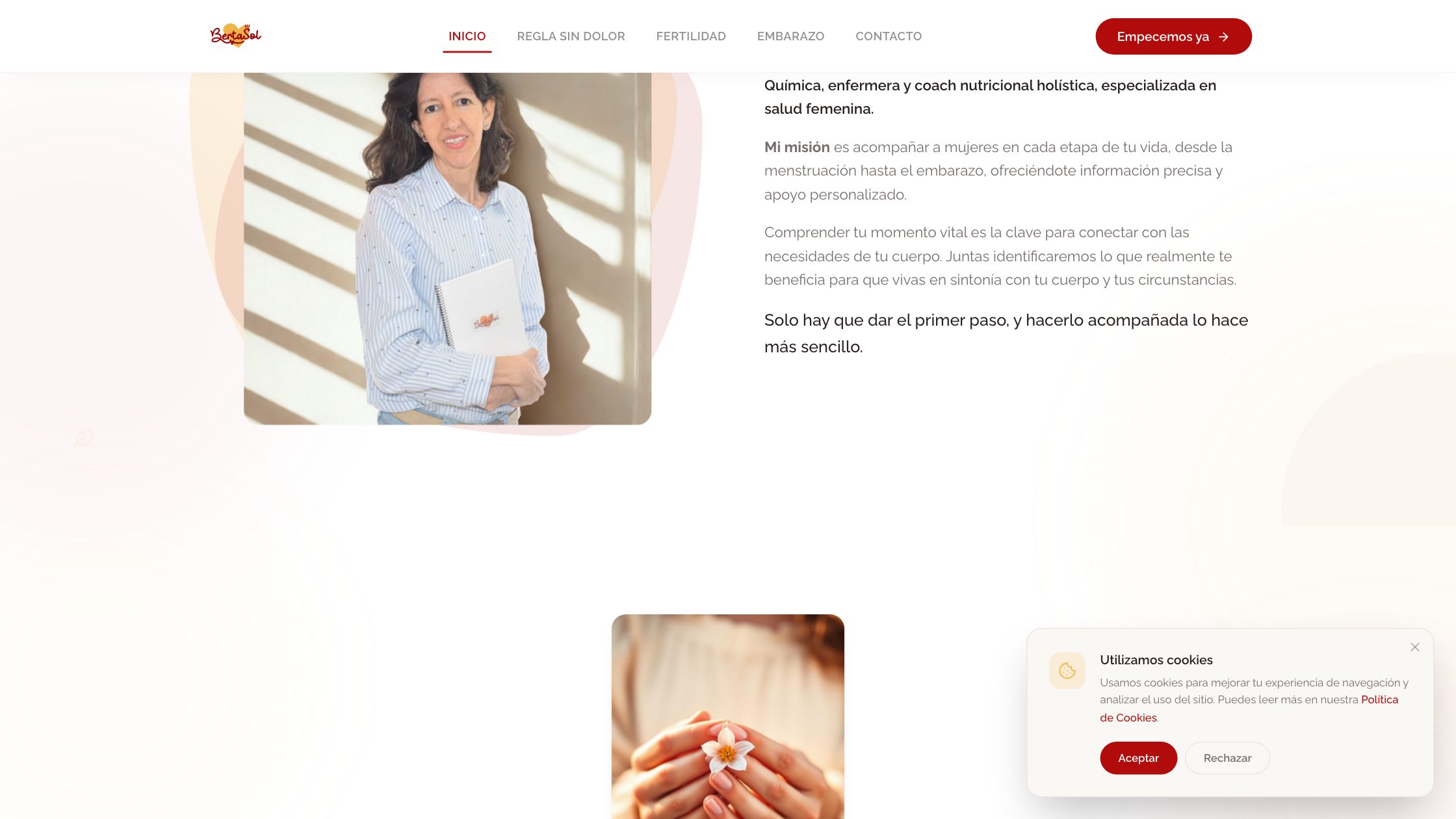 BertaSol — vista del proyecto