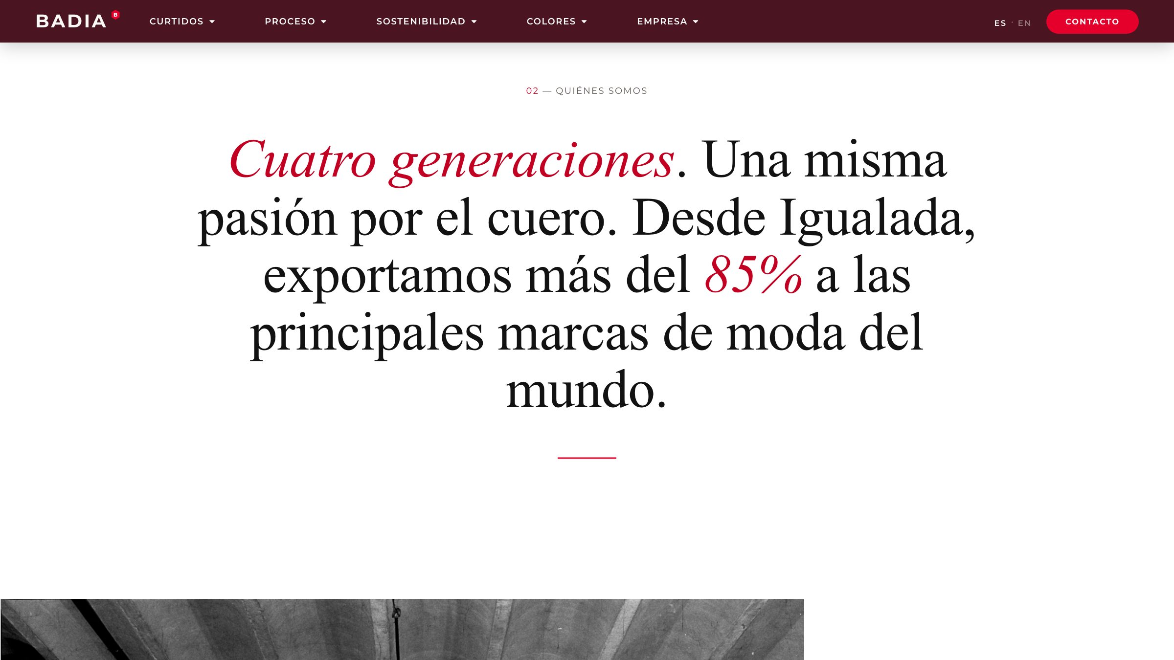 Curtidos Badia — vista del proyecto