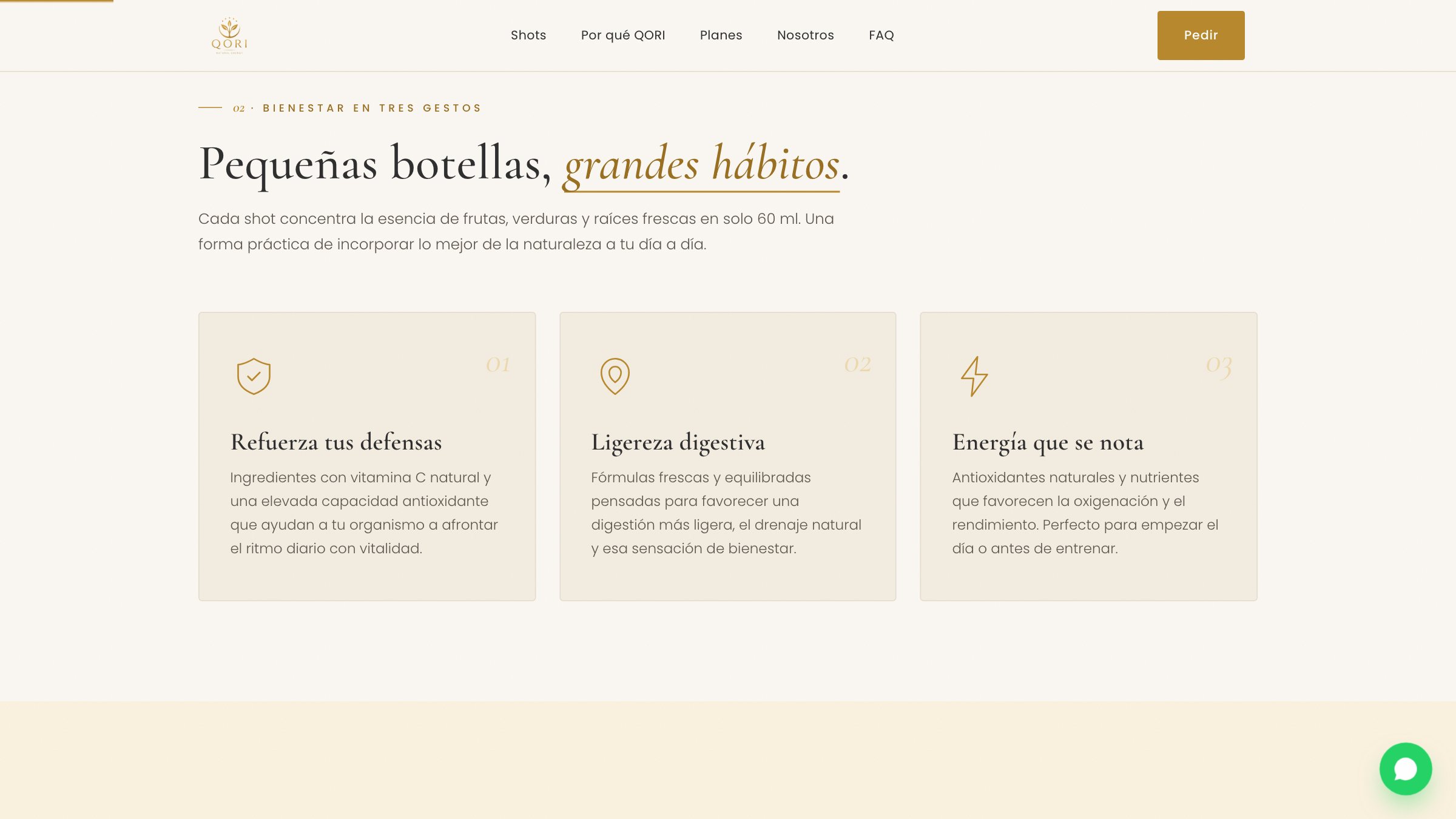 QORI — vista del proyecto